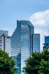 Fototapeta premium Distinctive modern glass office building rising above green trees in Brussels, blending contemporary architecture, sustainable urban scenery and expansive blue sky with copy space for designers.