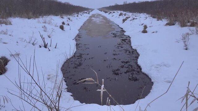 Wintry landscape. Sedge hummock swamp channel during a snowfall. Northern Europe