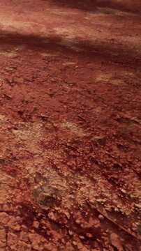 The ground shows a red landscape with rough textures and varied patterns. The view emphasizes the unique features and details of the surface.