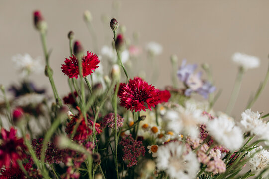 Wildflower bouquet with red blooms and soft floral background