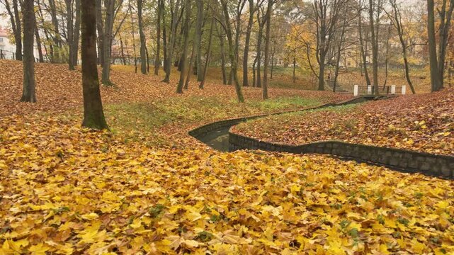 Autumn landscape featuring a winding pathway through colorful foliage. Symbolic visual representing decision making, future planning, life direction and personal development