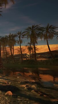 A river flows gently through a desert area at sunset. Tall palm trees are seen along the waters edge. The sky shows warm colors as day turns into night.