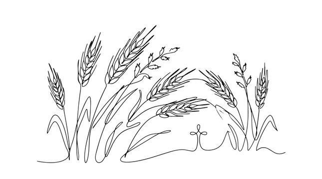 Wheat and weeds growing in a field. Biblical kingdom parables theme. Continuous line art vector illustration