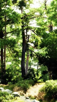 Tall trees fill a forest area in the daytime. Sunlight shines through the leaves, creating patterns on the ground. Rocks and shrubs are scattered among the trees, showing natures beauty.