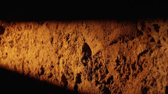 Aromatic cinnamon powder spinning in a dramatic light against a dark background, showcasing the rich brown texture and fine grains of the popular and flavorful culinary spice