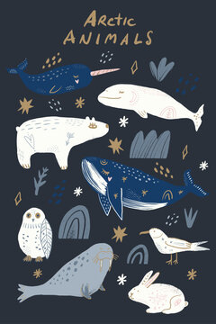 Arctic cute animals doodle hand drawn baby clipart set with polar bear, whale, narwhal, beluga, walrus, owl, hare, gull. Childish baby celestial moonchild elements in scandinavian style, artisanal vec