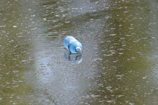 litter in the lake