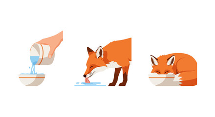 Fototapeta premium Fox hydration and rest flat vector illustration set
