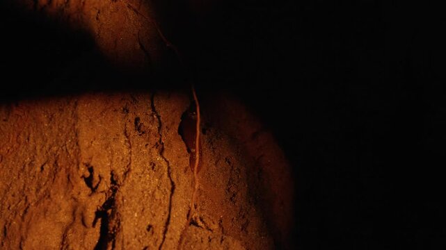 Flickering torchlight casting shifting shadows across the rough, earthy wall of a dark cave, creating a mysterious and adventurous atmosphere with its warm, fiery glow and deep blackness