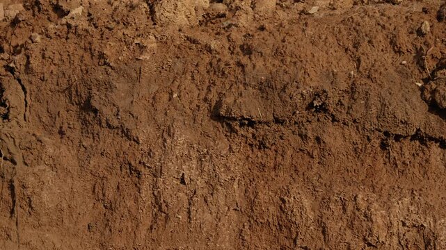 Textured brown soil moving slowly in a downward reveal, showing a detailed cross section of the fertile earth with its organic layers, ideal for geology or agricultural concepts