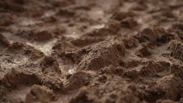 Close up view of a wet and muddy ground surface with imprinted tracks from a vehicle or boot. A detailed texture of the damp earth with small puddles creating a rugged and natural background