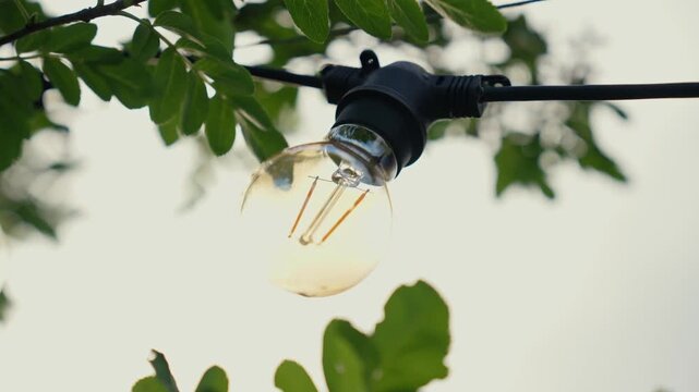 Beautiful string light garland with a vintage edison bulb hanging on a tree branch in a garden. Warm decorative lighting for an outdoor party, wedding, or summer evening celebration