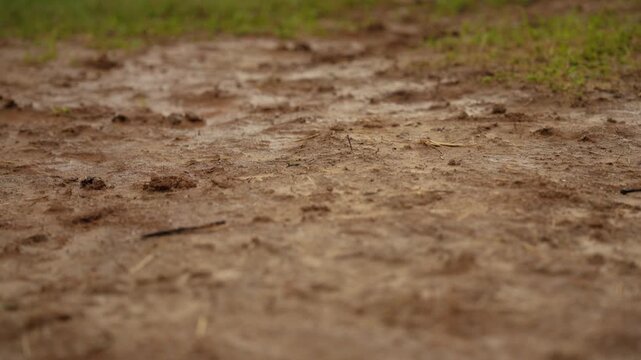Heavy rain falling onto wet, muddy ground during a downpour, with water drops splashing into the dirt and creating ripples in a puddle during a storm with shallow depth of field
