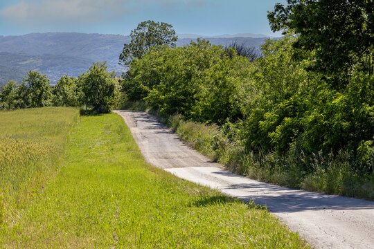 Countryside landscape rural road with green nature