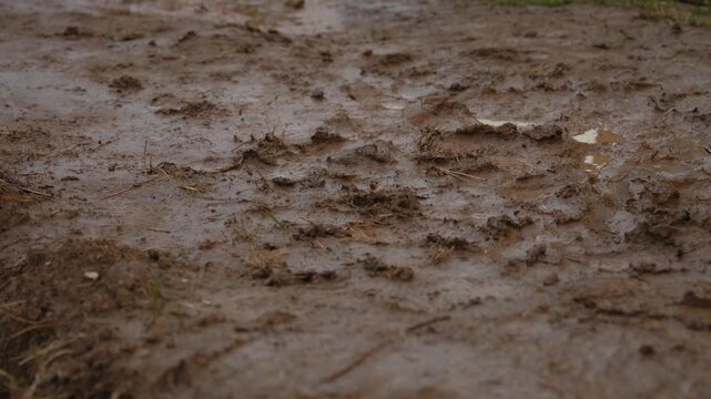 Countless raindrops hitting a muddy puddle, creating mesmerizing splashes and ripples on the wet ground surface with a detailed texture and capturing the essence of a rainy day outdoors