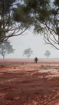 Dry land stretches across the view with a few trees scattered in the distance. The sky is gray and clouds are present. The scene shows a quiet, open natural area devoid of signs of people.