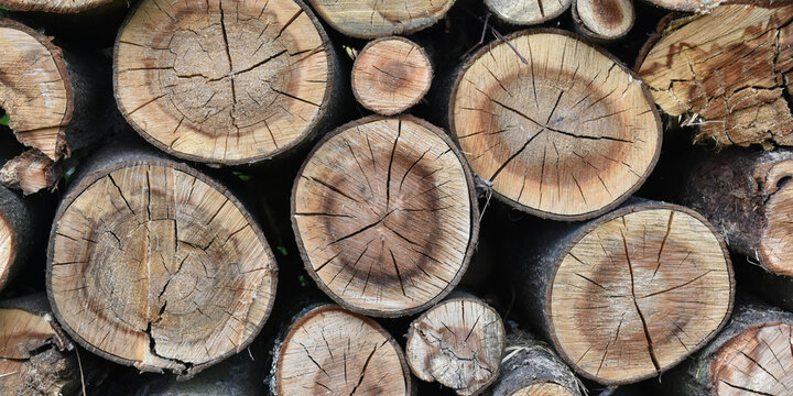 Rustic firewood logs, stacked wooden timber pile, natural background
