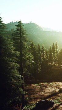 Sunrise lights up the mountain landscape. Tall green trees stand among the hills. The natural setting shows signs of early morning light and vibrant foliage.
