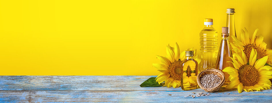 Rural still-life, banner - sunflower oil in bottles with flowers of sunflower (Helianthus annuus), closeup with space for text