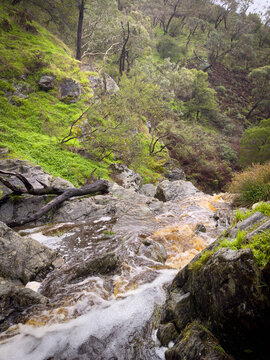 Ingalalla Falls waterfall in Hay Flat on the Fleurieu Peninsula, South Australia during high winter flow