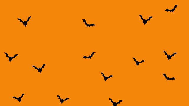 Seamless Halloween animation of flying bats on an orange background. Spooky looping motion perfect for Halloween themes, decorations, and party designs