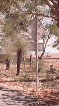 A dirt road runs through a bush landscape. A tall grass plant stands near a roadside sign. The ground is dry and red, with green trees in the background. It is daytime.
