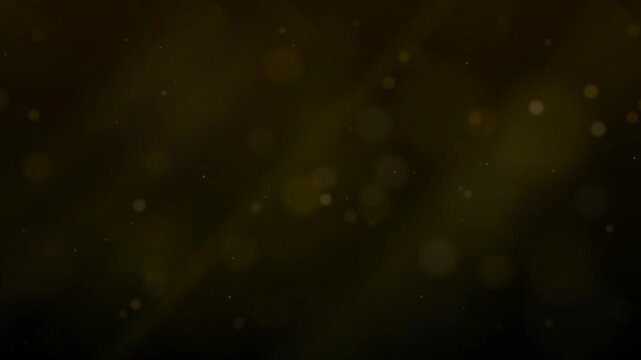 Golden Hour Light Particles Floating in Dark Background