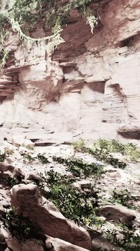 A group of people walk through a rocky canyon with steep walls. Green plants grow in the cracks of the stone. The sun shines brightly in the clear sky above.