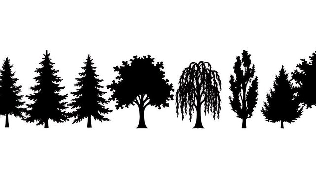 row of diverse black tree silhouettes isolated on white background, simple botanical elements for design