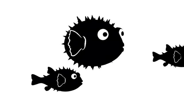 Black silhouette animation of pufferfish swimming, motion graphic, animal life, underwater scene, simple cartoon style
