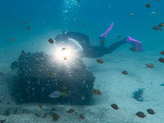 A diver inspecting artificial reef structure © Michael