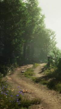 A narrow dirt path winds through a lush forest. Sunlight filters through trees, illuminating scattered flowers and greenery along the trail.