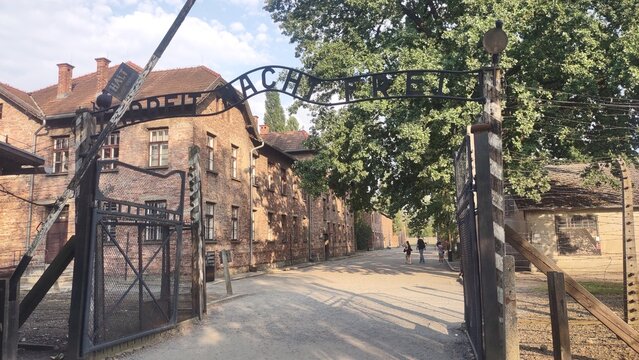Auschwitz Museum, Oświęcim, Poland, 1.08.2026