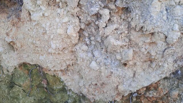 Close up texture of uprooted tree roots with soil. Fallen tree by riverbank, exposed roots and earth. Nature disaster, environmental background.