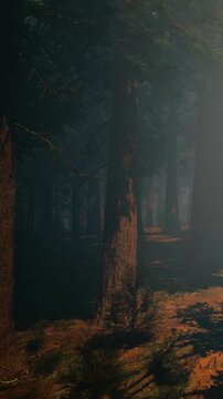 A forest scene shows tall trees casting shadows. Soft light filters through branches, creating a quiet atmosphere. The ground has fallen leaves and soft earth. Early morning mist adds depth.