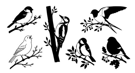 Minimalist Hand Drawn Bird Collection with Perched Songbirds on Natural Branches Vector Set © MdAbdus