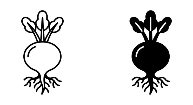 Simple Beetroot Icons, Root Vegetable Vector Graphics, Healthy Food Symbols, Organic Produce Line Art