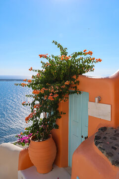 A turquoise door framed by orange walls and flowering vines overlooks the Aegean Sea in Santorini, Greece, glowing in warm Mediterranean light.