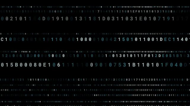 Binary and hex data streaming on black background 4K loop