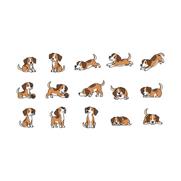 Adorable colored vector illustration bundle of cute beagle puppy playing, sitting, jumping, and sleeping. Ideal for kids products, sticker designs, pet shop branding, educational materials, and crafts