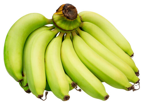 Bunch of bananas green Banana isolated on white background, png file, gourmet beverage branding and premium food packaging design.