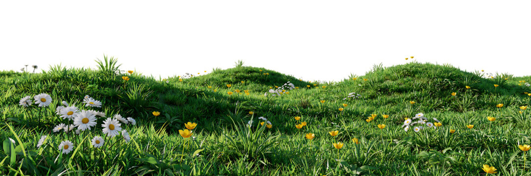 Vibrant green meadow with small white and yellow wildflowers, rolling grassy hills landscape, peaceful nature scene with soft sunlight and flora isolated on a transparent background
