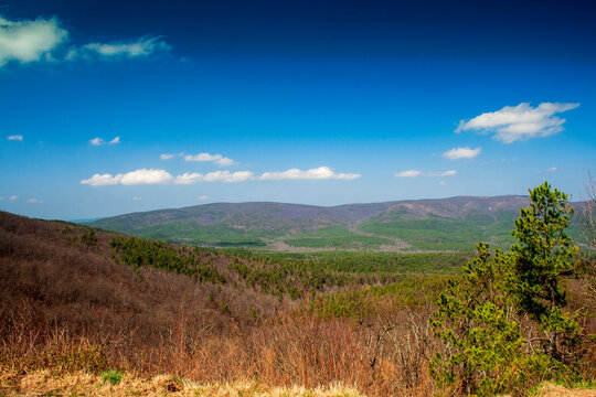 Ouachita Mountains Seen From the Talimena Scenic Drive, Arkansas