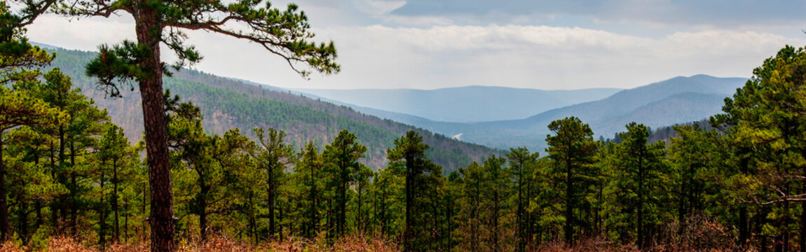 Ouachita Mountains Seen From the Talimena Scenic Drive, Oklahoma