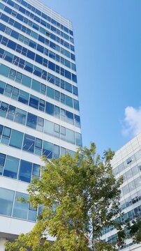POV from phone of modern office building exterior from low angle view on sunny day. UGC point of view style vertical social media reel. Glass high riser of tech company or corporation facility park