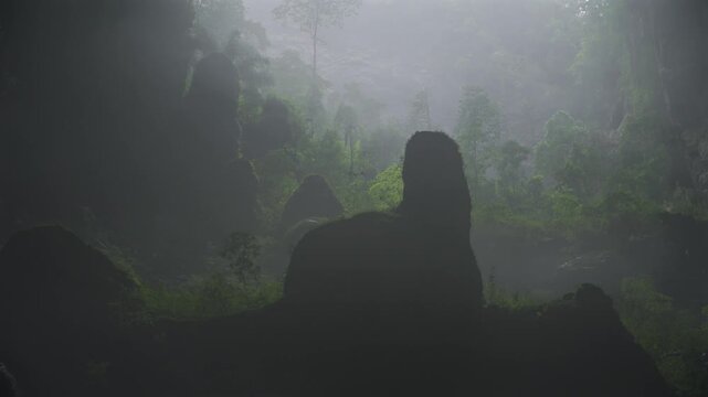 misty jungle inside a cave