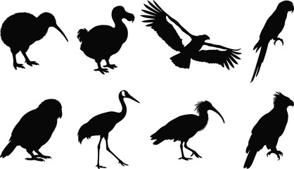Collection of Bird Silhouettes Featuring Kiwi Dodo Eagle Parrot Crane and Exotic Avian Species © MdFarhad