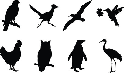Obraz premium Diverse Wild and Domestic Bird Silhouettes Icon Set Isolated on White Background