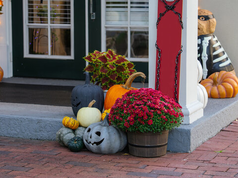Colorful pumpkins and blooming chrysanthemums decorate the entrance of a home for Halloween and autumn. Seasonal harvest decorations create a festive and welcoming outdoor display.