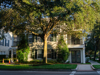 Obraz premium A mature oak tree shades a modern residential house with elegant architecture and landscaped greenery. Warm afternoon sunlight creates a peaceful suburban neighborhood scene.